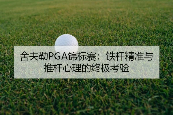 she-fu-lei-jin-biao-sai-tie-gan-jing-zhun-yu-tui-gan-xin-li-de-zhong-ji-kao-yan-2-283.jpg